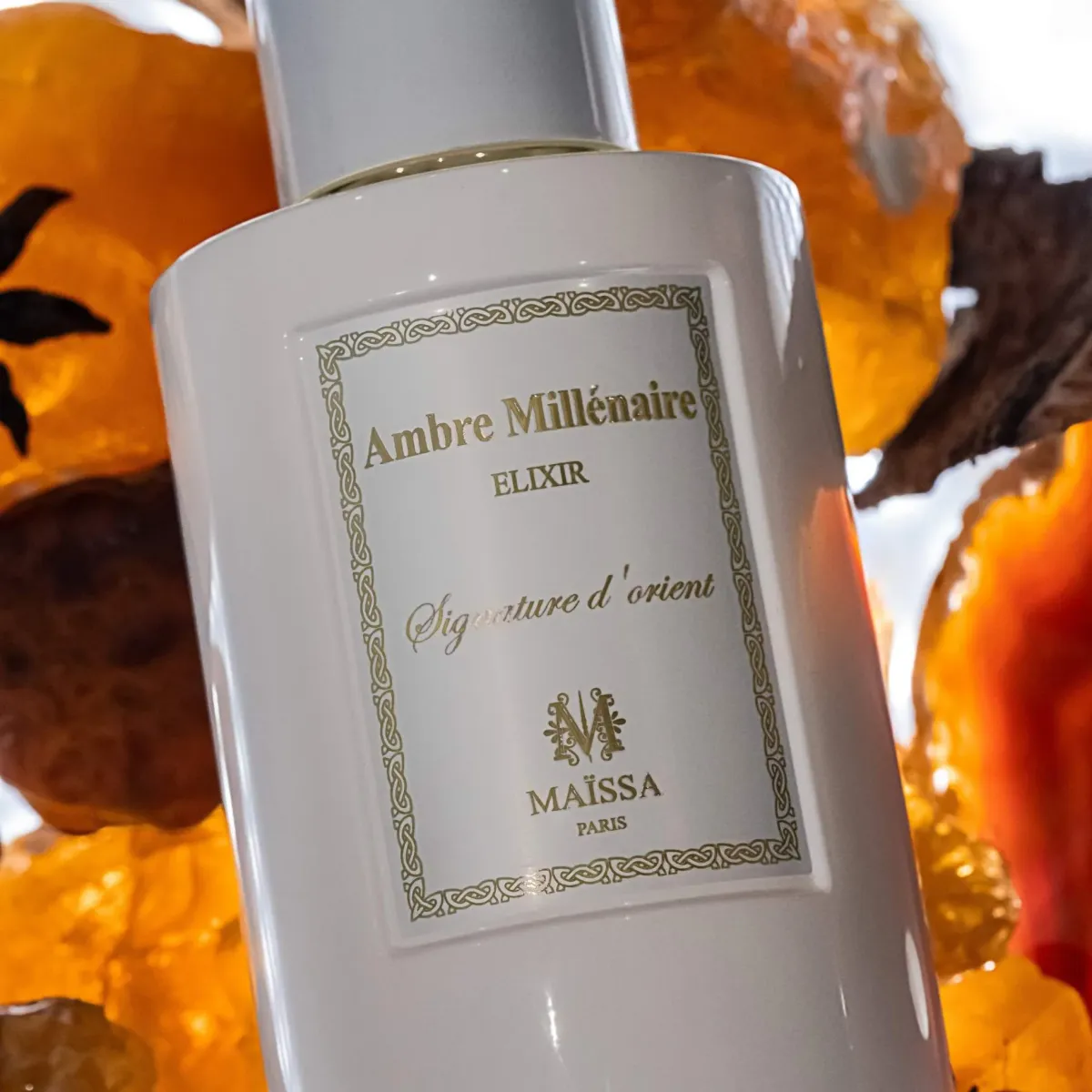 Ambre millénaire